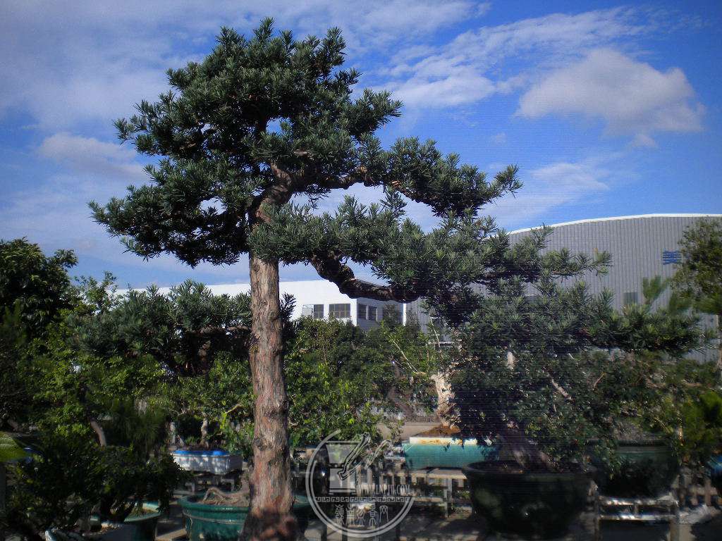 DSCN9193.JPG