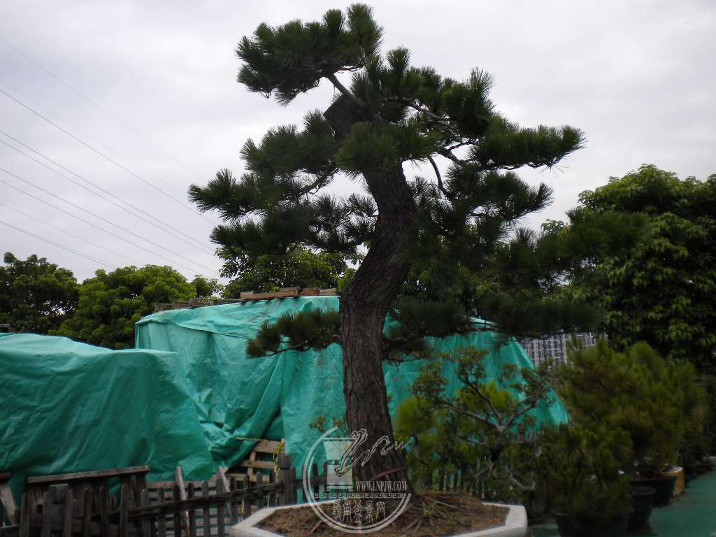 DSCN9627.JPG