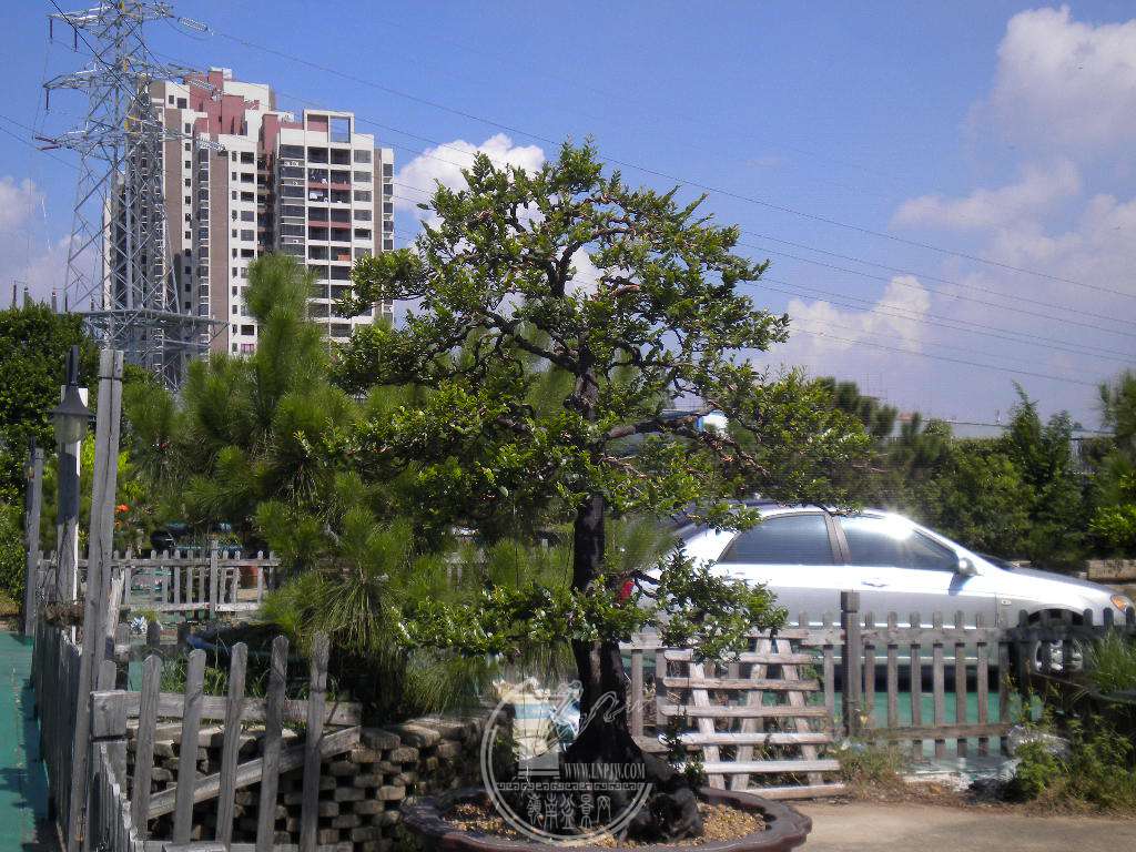 DSCN9673.JPG