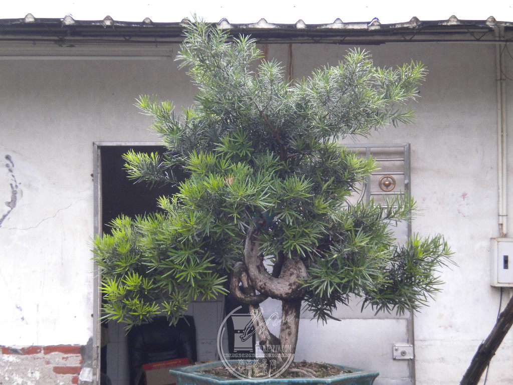 DSCN9601.JPG
