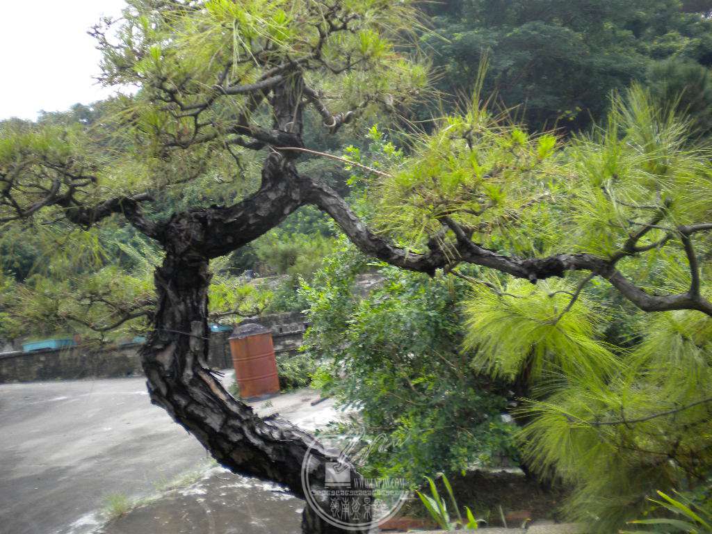 DSCN9783.JPG