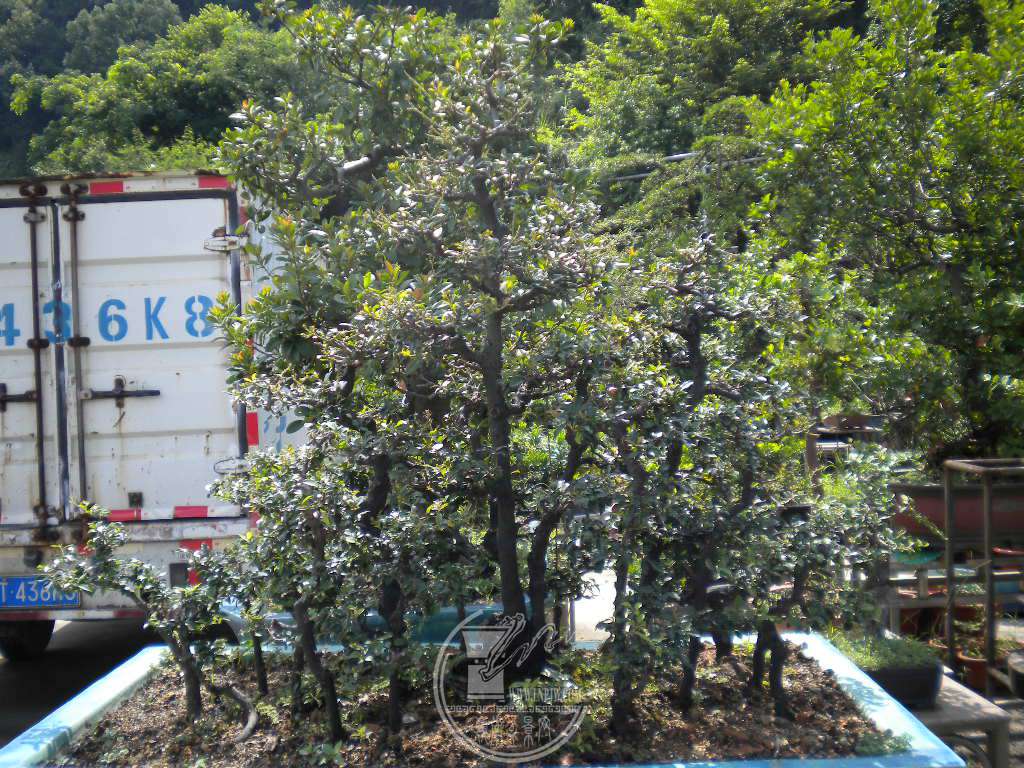 DSCN9711.JPG