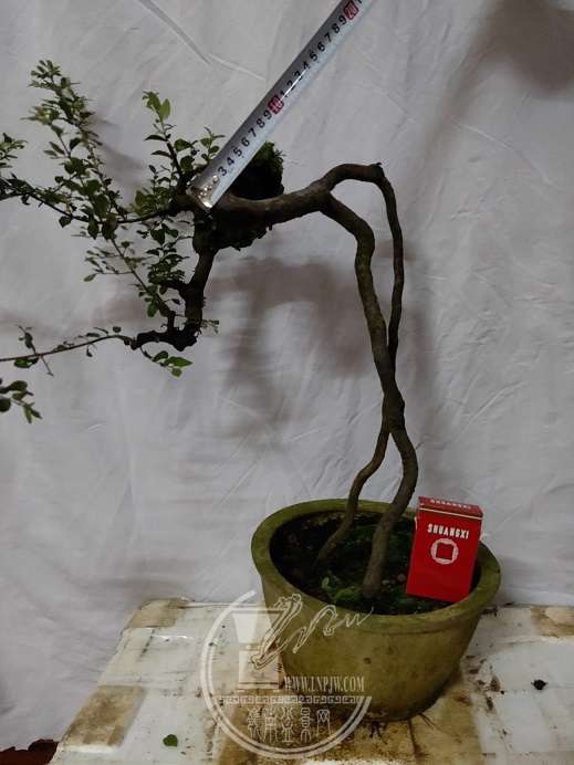 IMG20180901180607.jpg