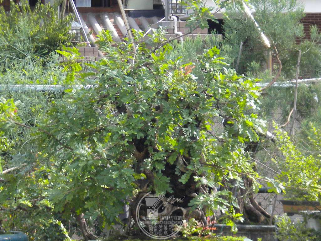 DSCN9692.JPG