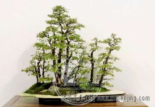 131342ton3cmkczlbhw4ob.jpg