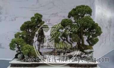 131559xawcwqcacvzqqcdl.jpg