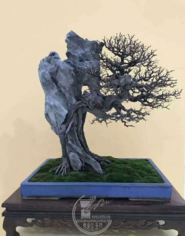 mmexport1535862040862.jpg