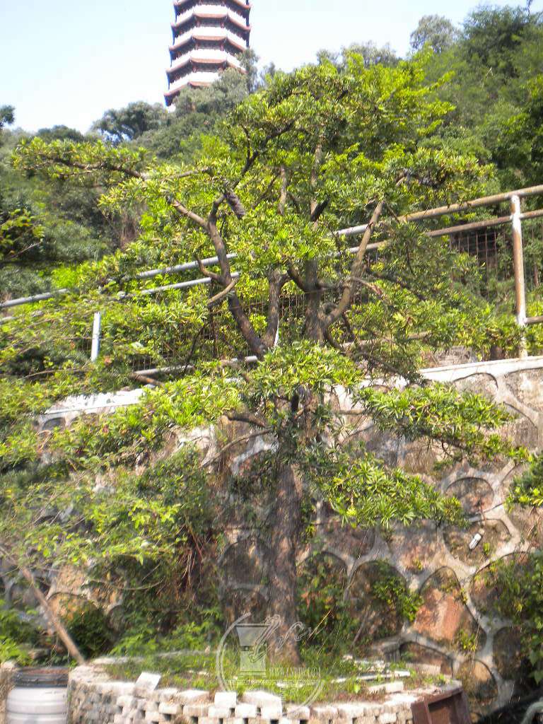 DSCN9359.JPG