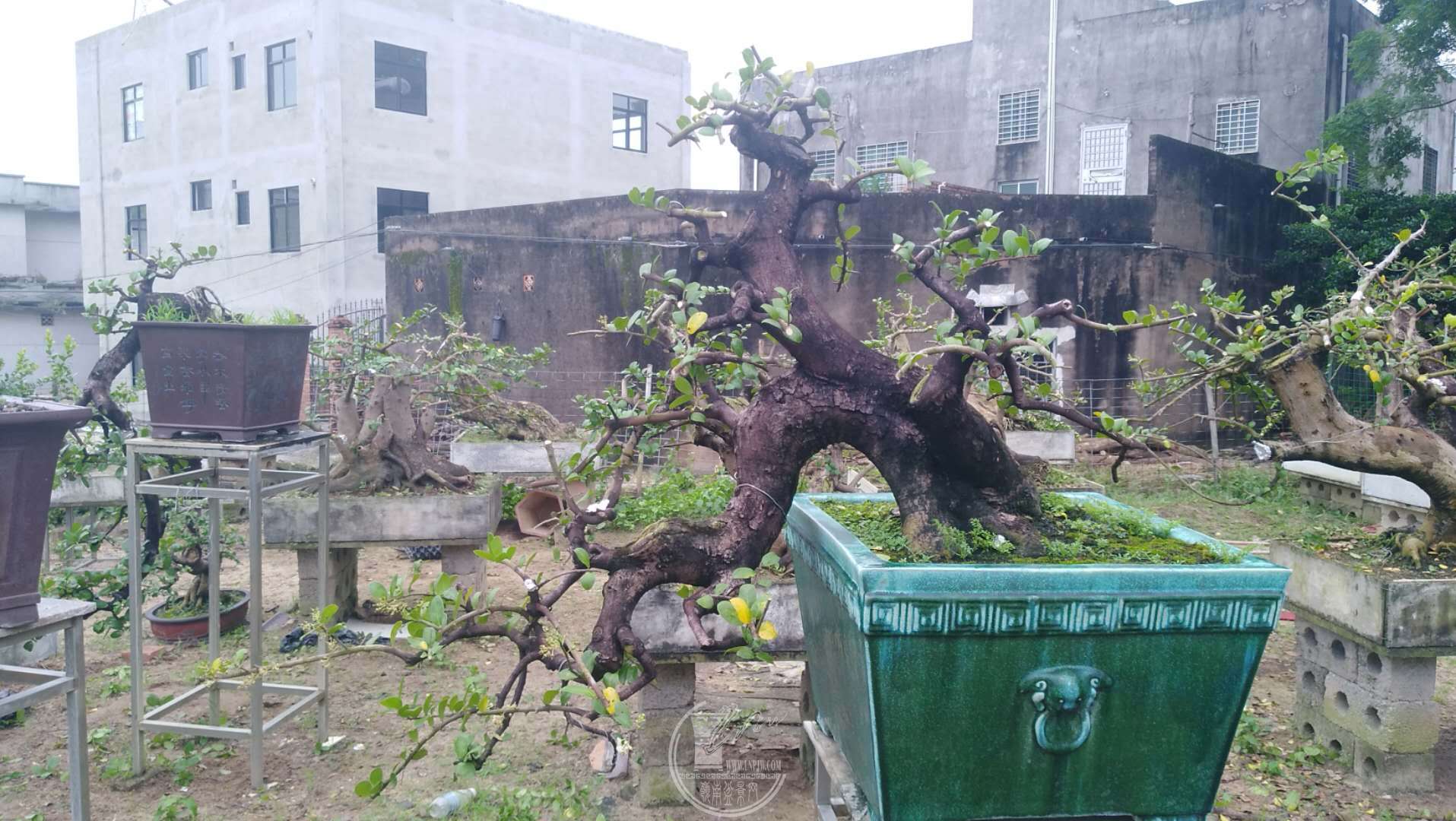 ΢ͼƬ_20180918101932.jpg