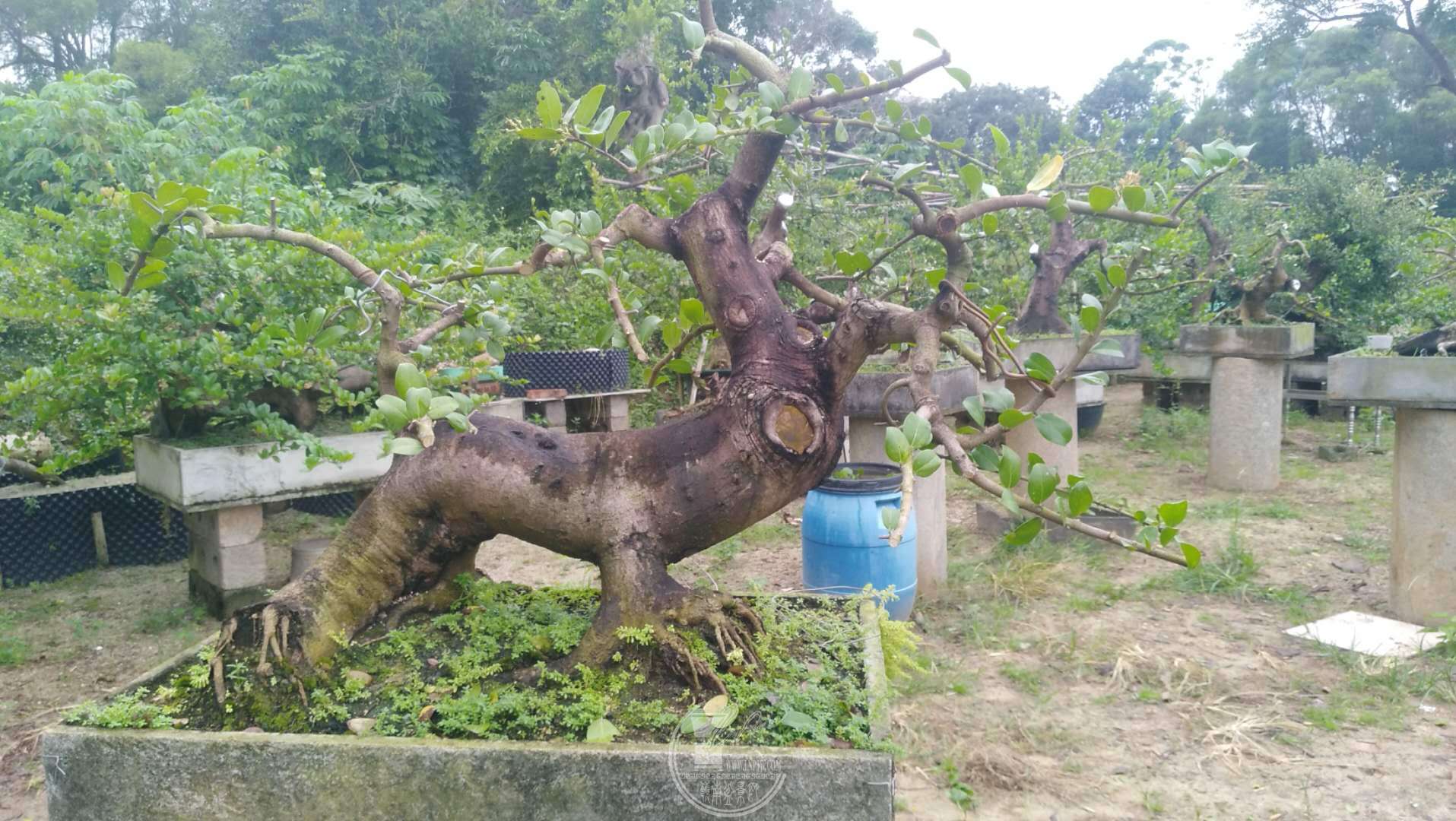΢ͼƬ_201809181019324.jpg