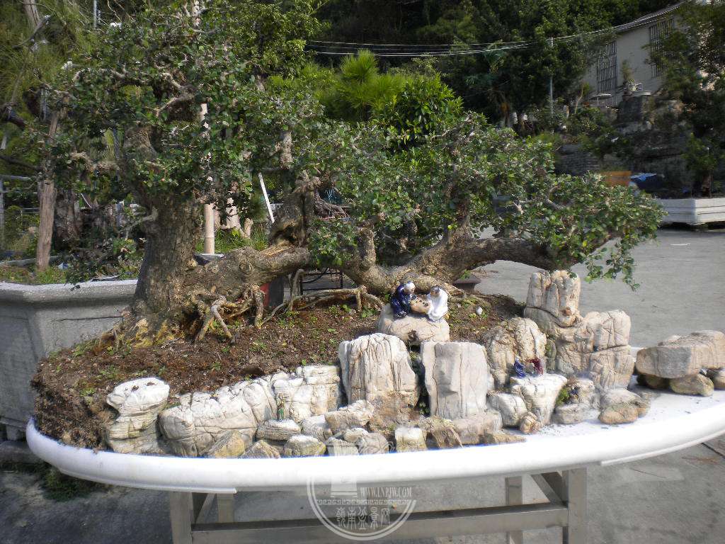 DSCN0032.JPG