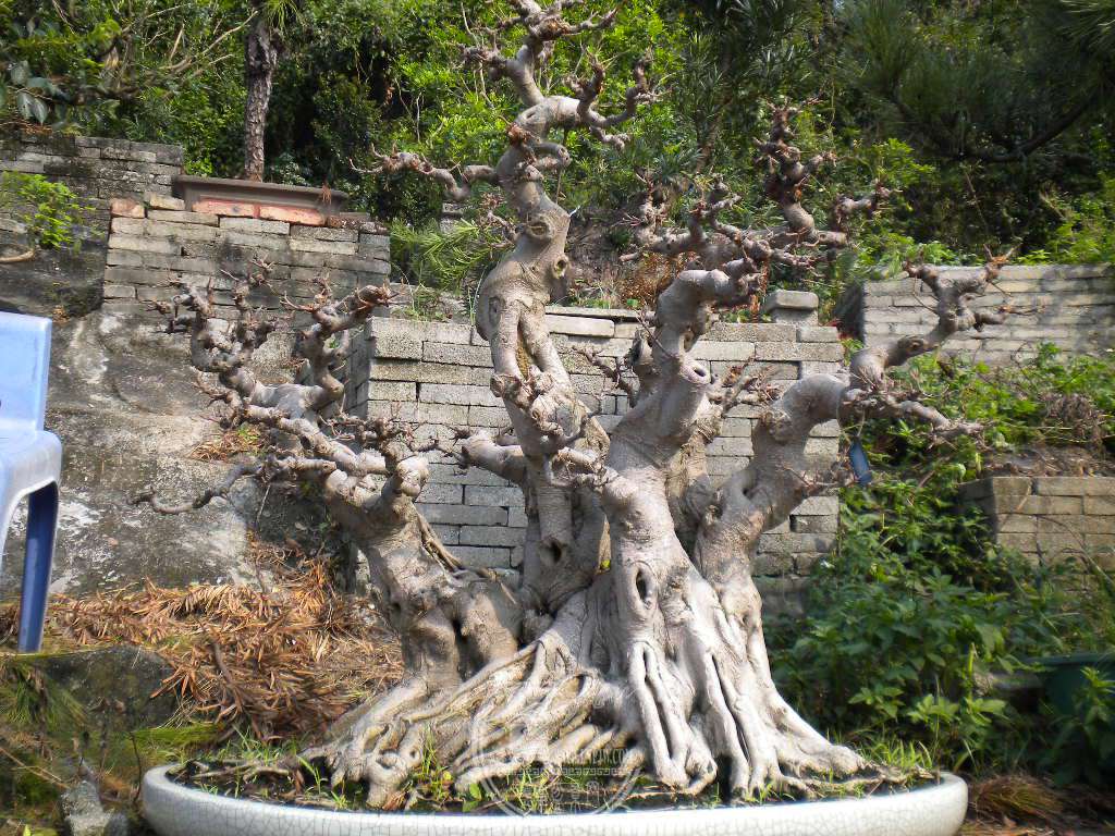 DSCN0040.JPG