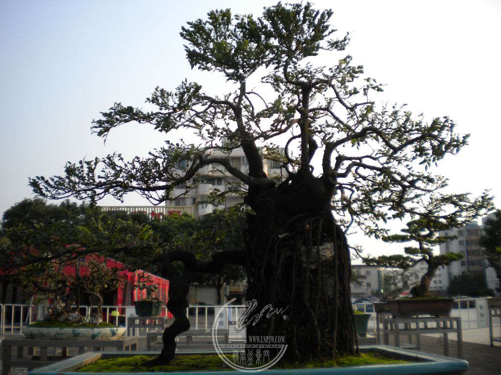 DSCN0090.JPG