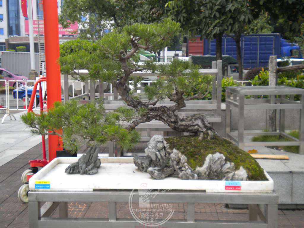 DSCN0219.JPG