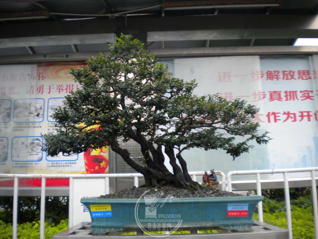 DSCN0232.JPG