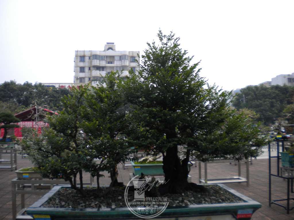DSCN0230.JPG