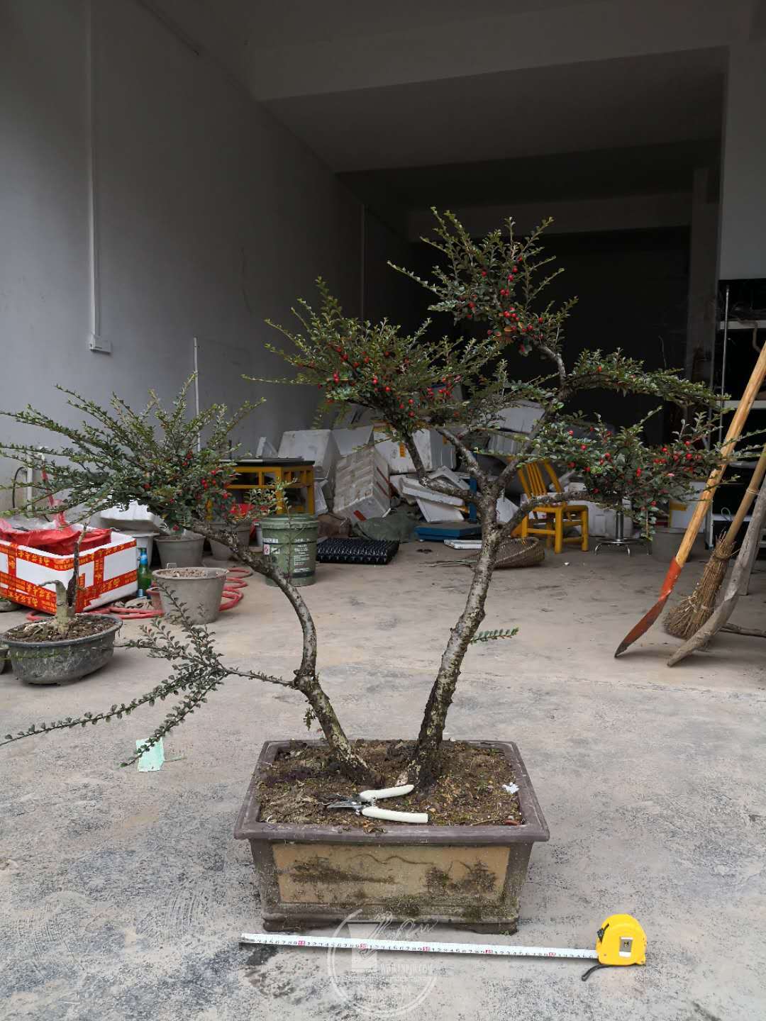 25.jpg