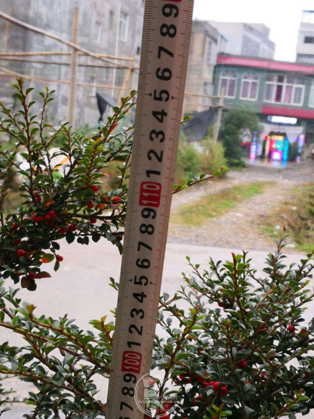 32.jpg