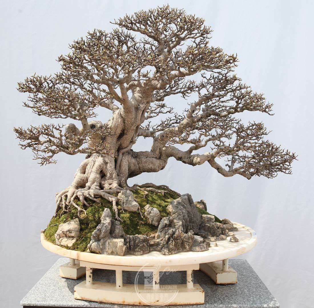 75      --41              Ӱбˮǳ            100105100     .jpg
