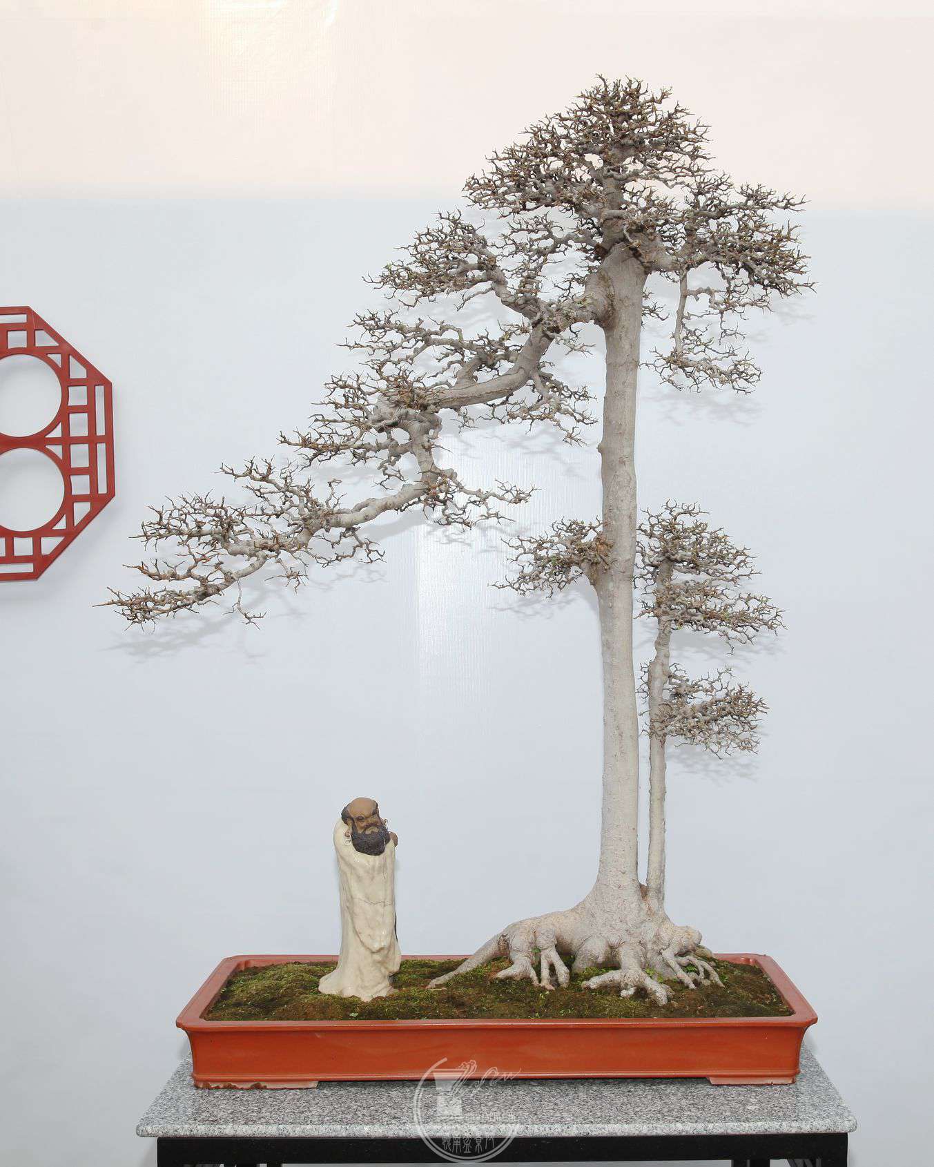 318      --39              ʯ쾪      ˼      11014545         .jpg