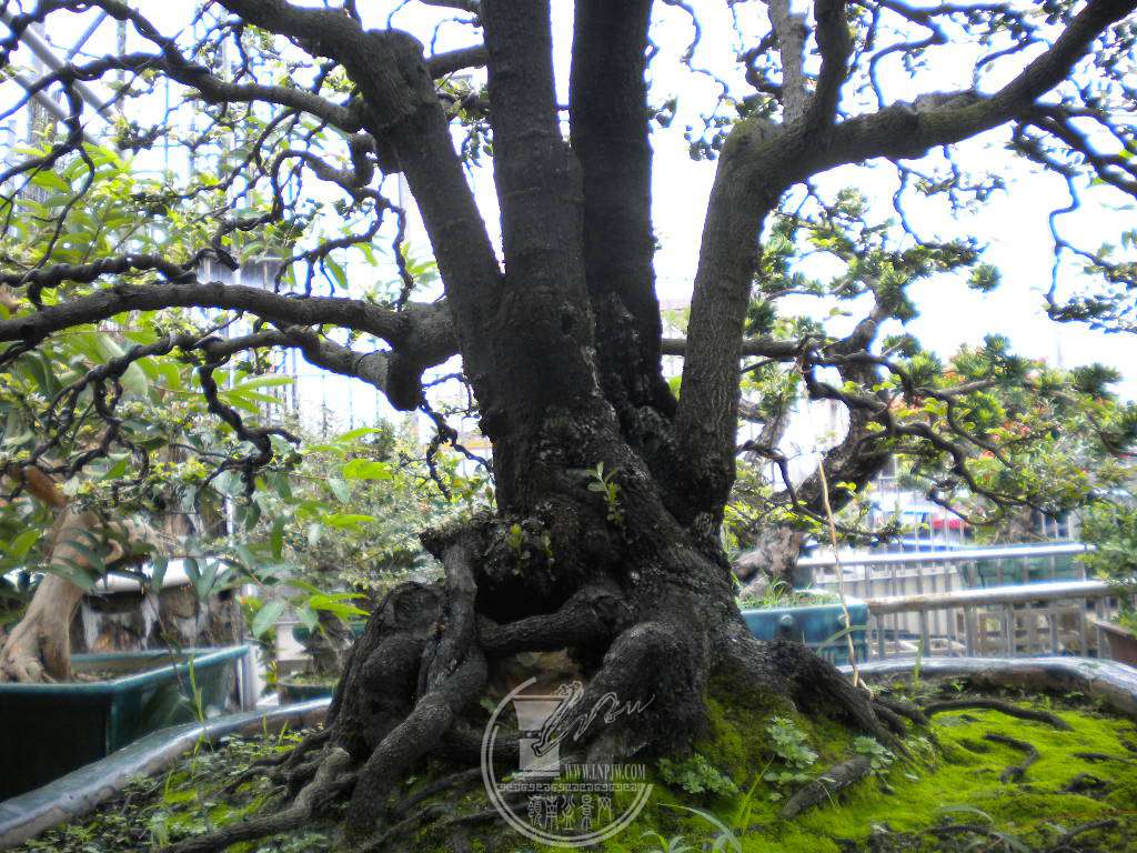 DSCN0289.JPG