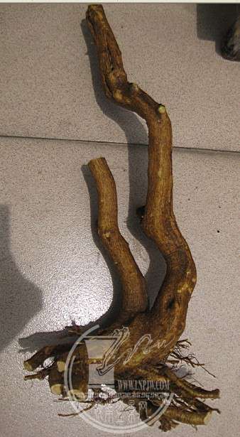 50B.jpg