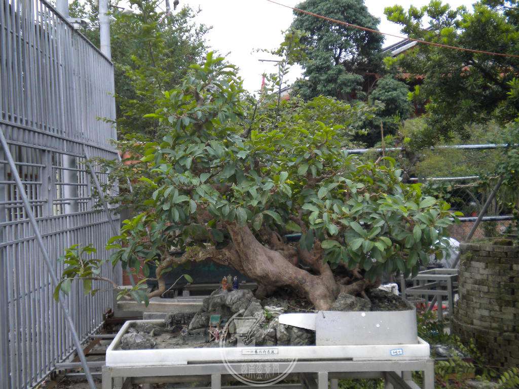 DSCN0297.JPG