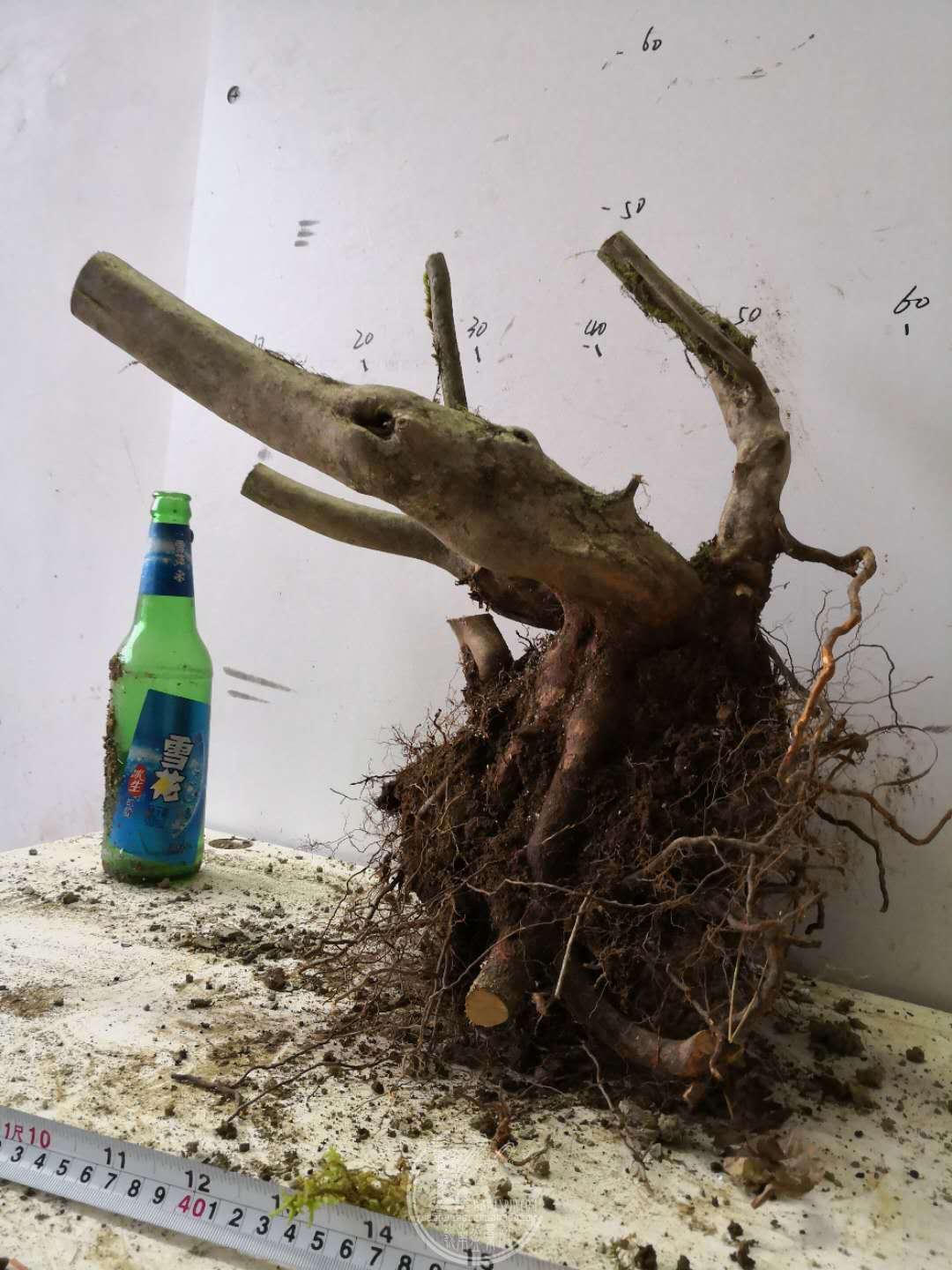 30.jpg