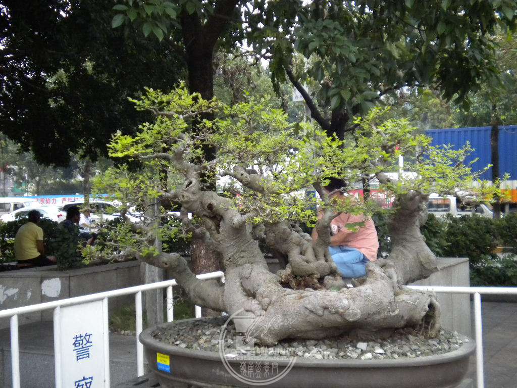 DSCN0171.JPG
