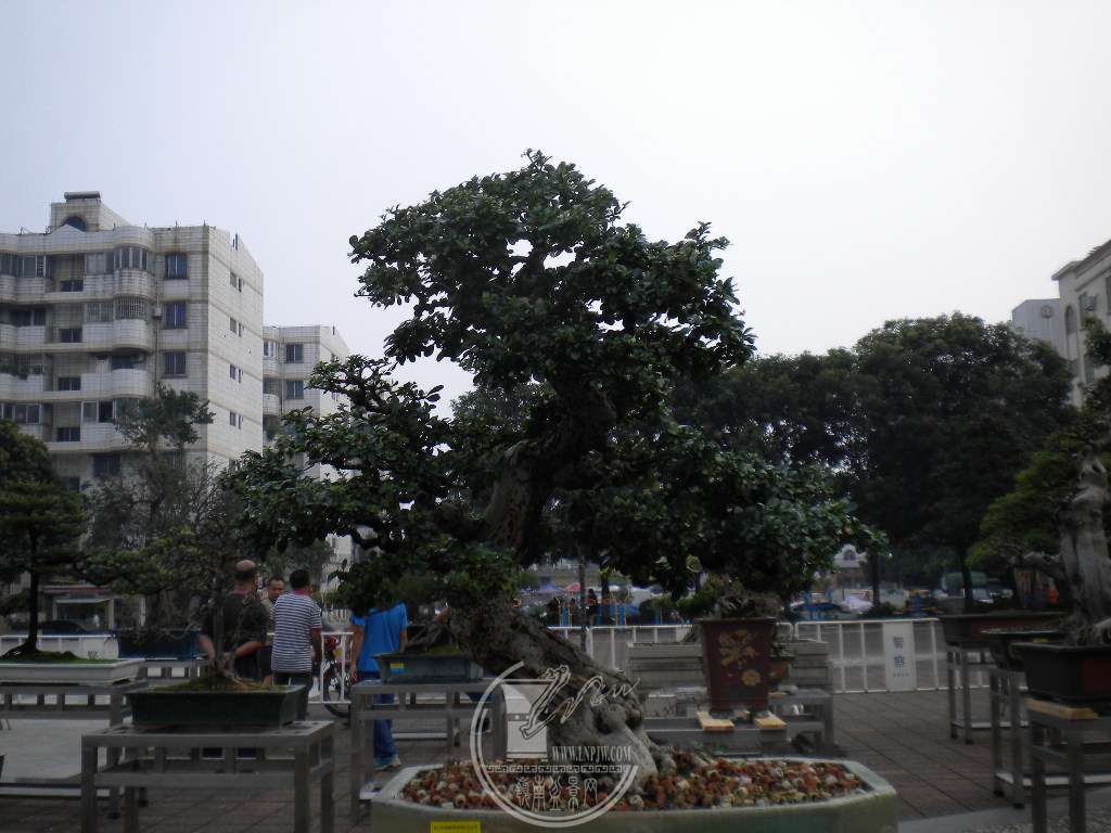 DSCN0166.JPG