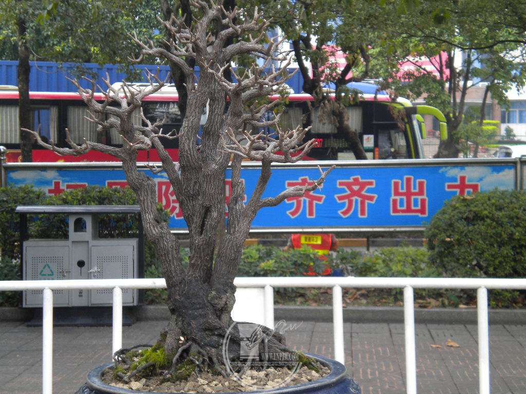 DSCN0170.JPG