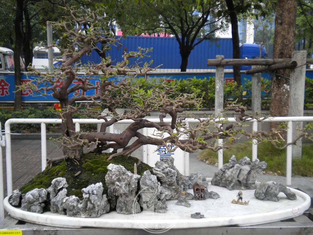 DSCN0172.JPG