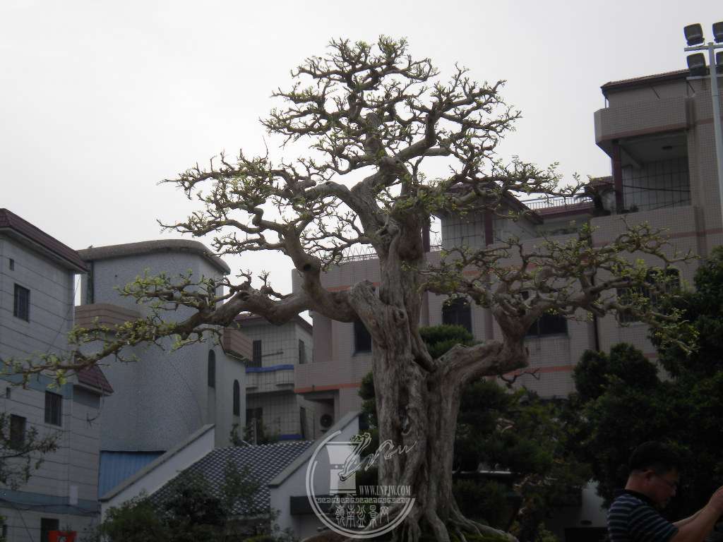 DSCN0180.JPG