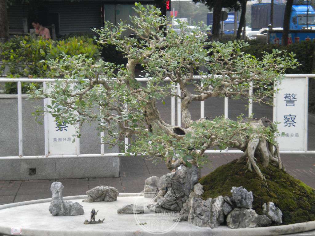 DSCN0182.JPG