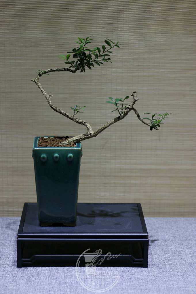 IMG_5760_С.JPG