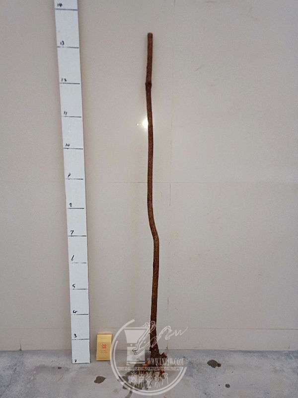 949337