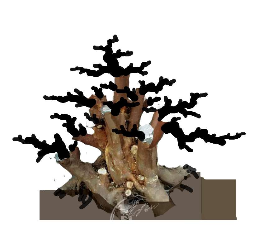 1542281559040.jpg