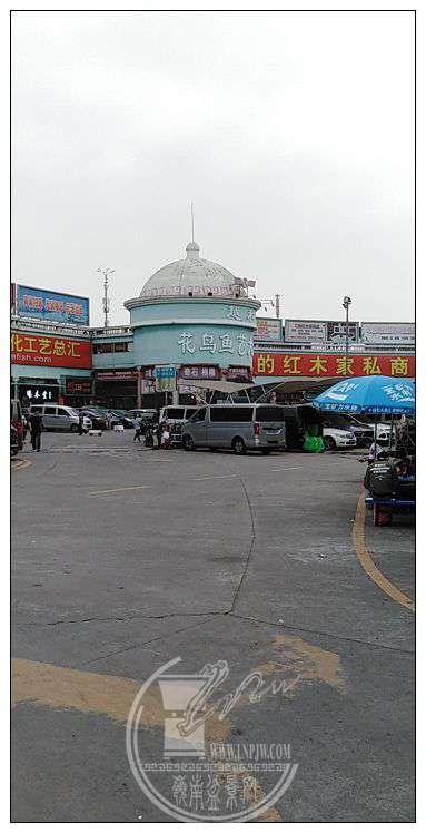 wx_camera_1542338591954.jpg