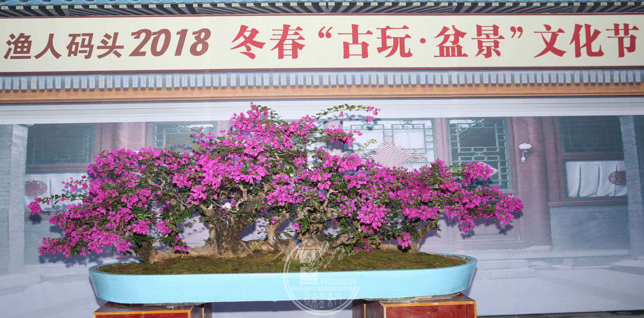 06÷300X100IMG_0201.jpg