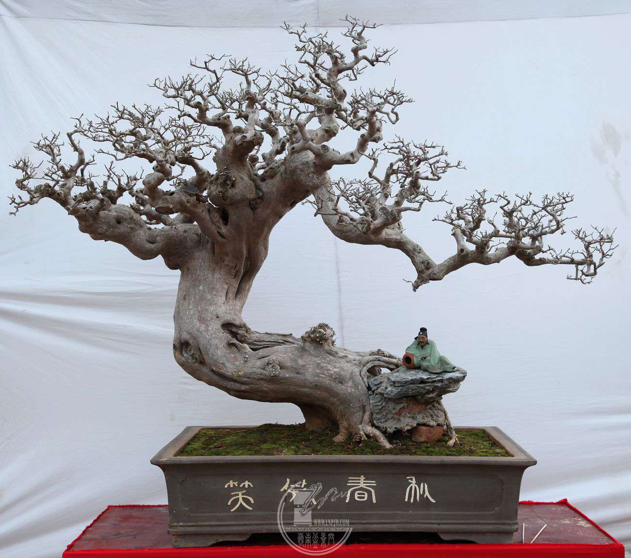 38÷150X150IMG_0089.jpg