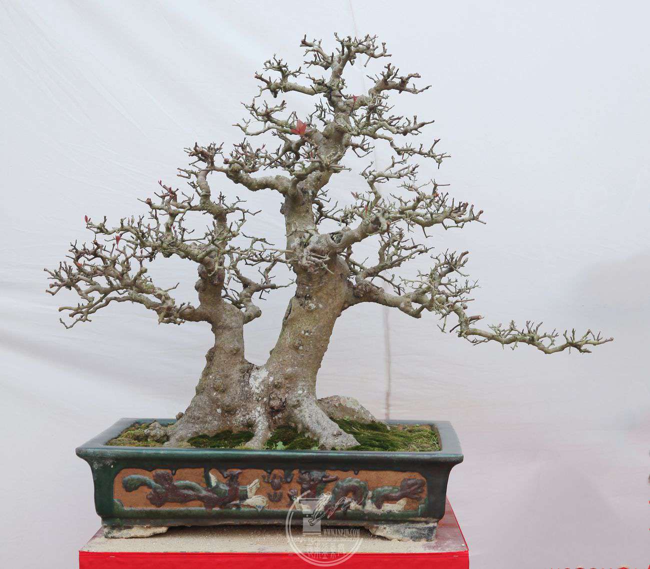 51¹ţ80X90IMG_0083.jpg