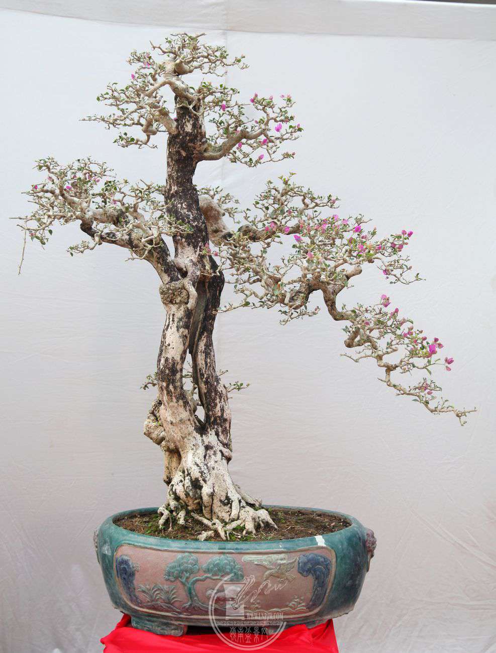 57¹÷60X130IMG_0171.jpg