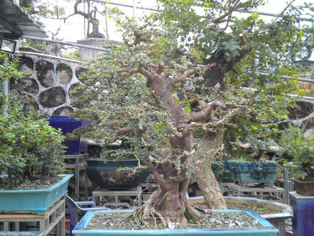 DSCN0293.JPG