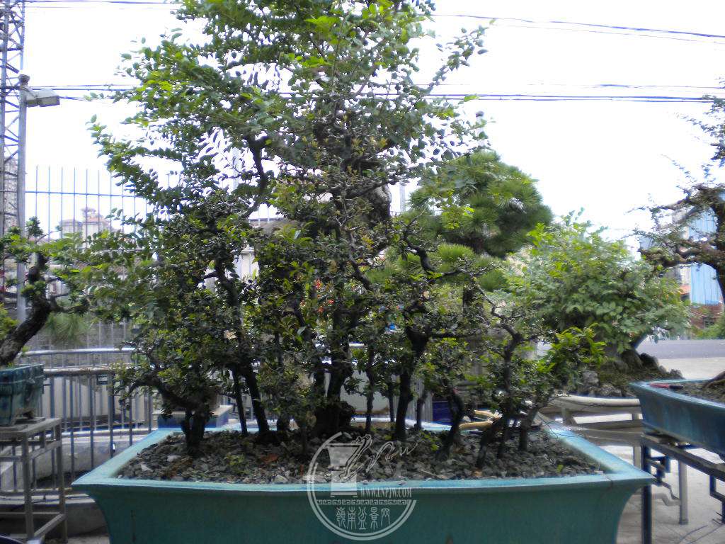 DSCN0326.JPG