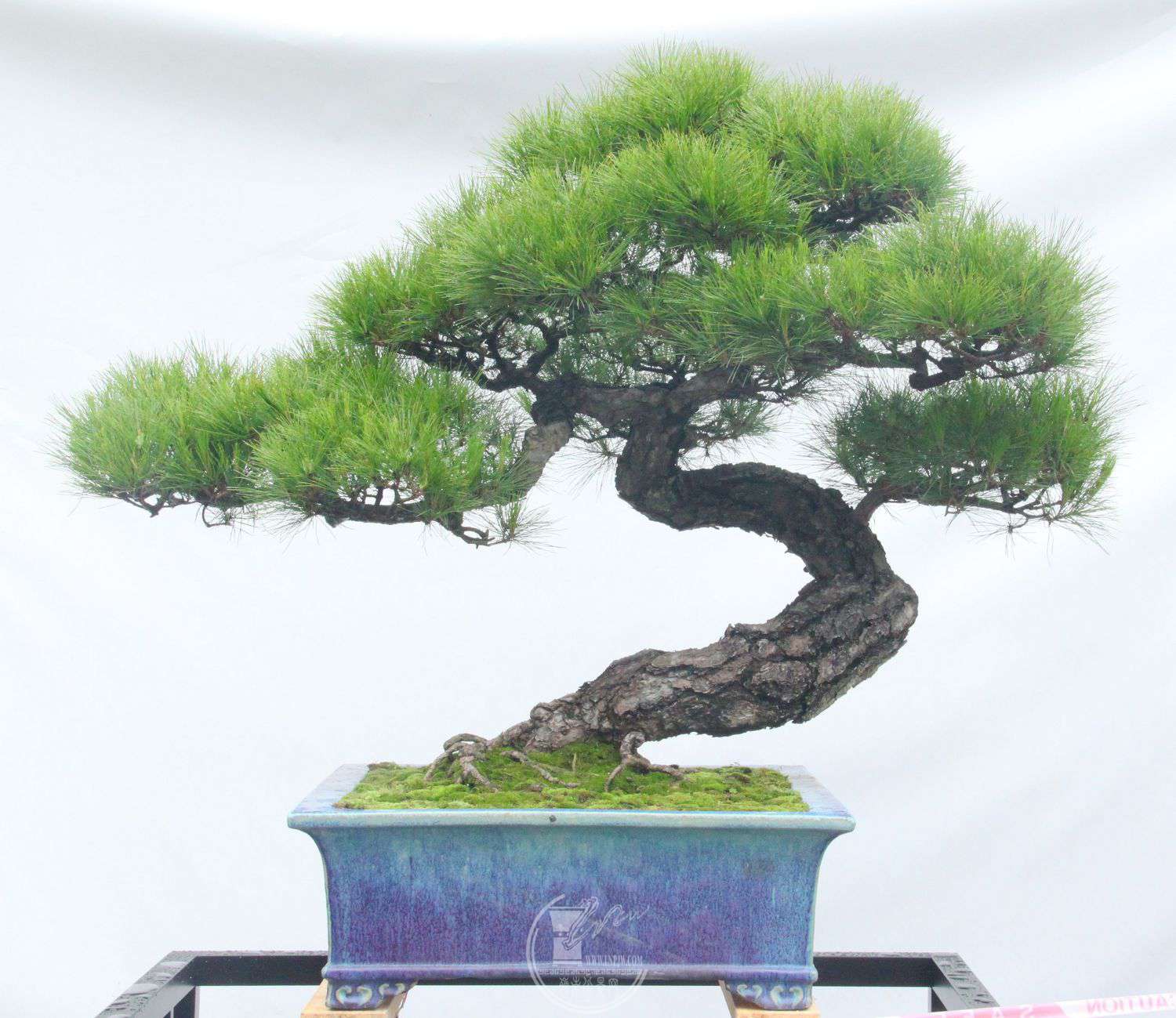 17顢ɽIMG_8689.jpg