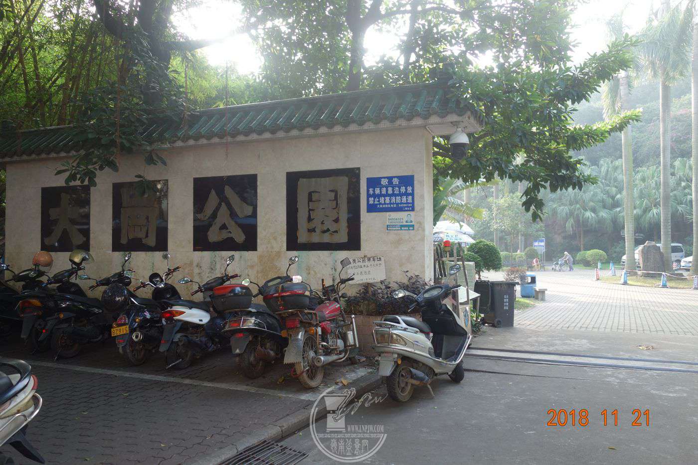 口述历史——(广州番禺)大岗盆景之源远流长