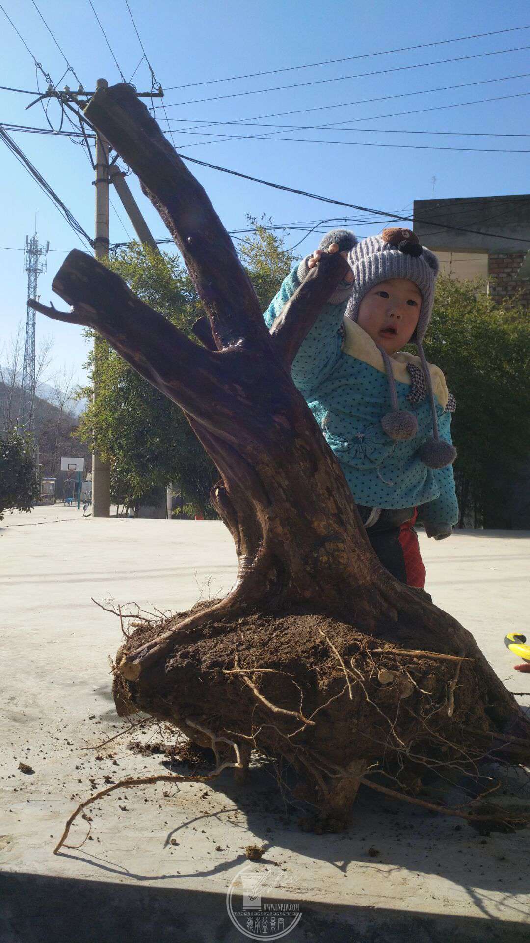 QQͼƬ20181217115848.jpg