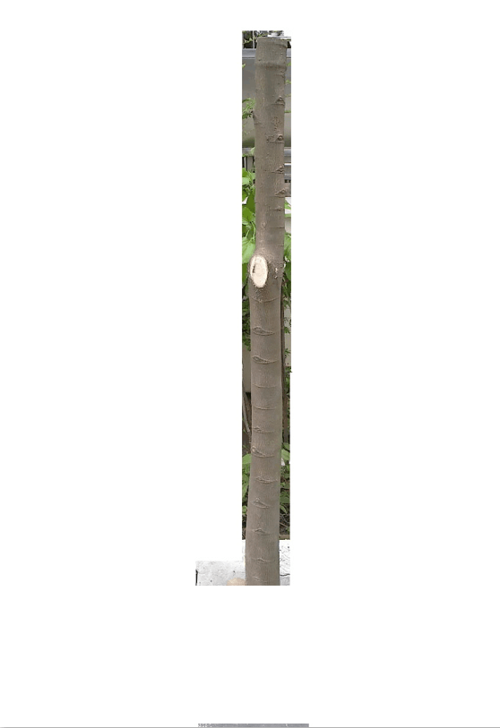 2)`L}7SAT68D5PGSD8J~OR3.png
