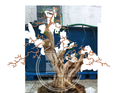 ޱ_С.png