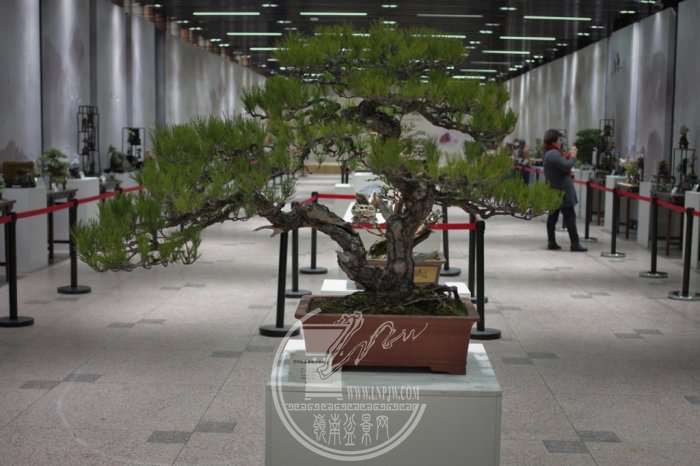 111503ag8o3paokpjd720a.jpg.thumb.jpg